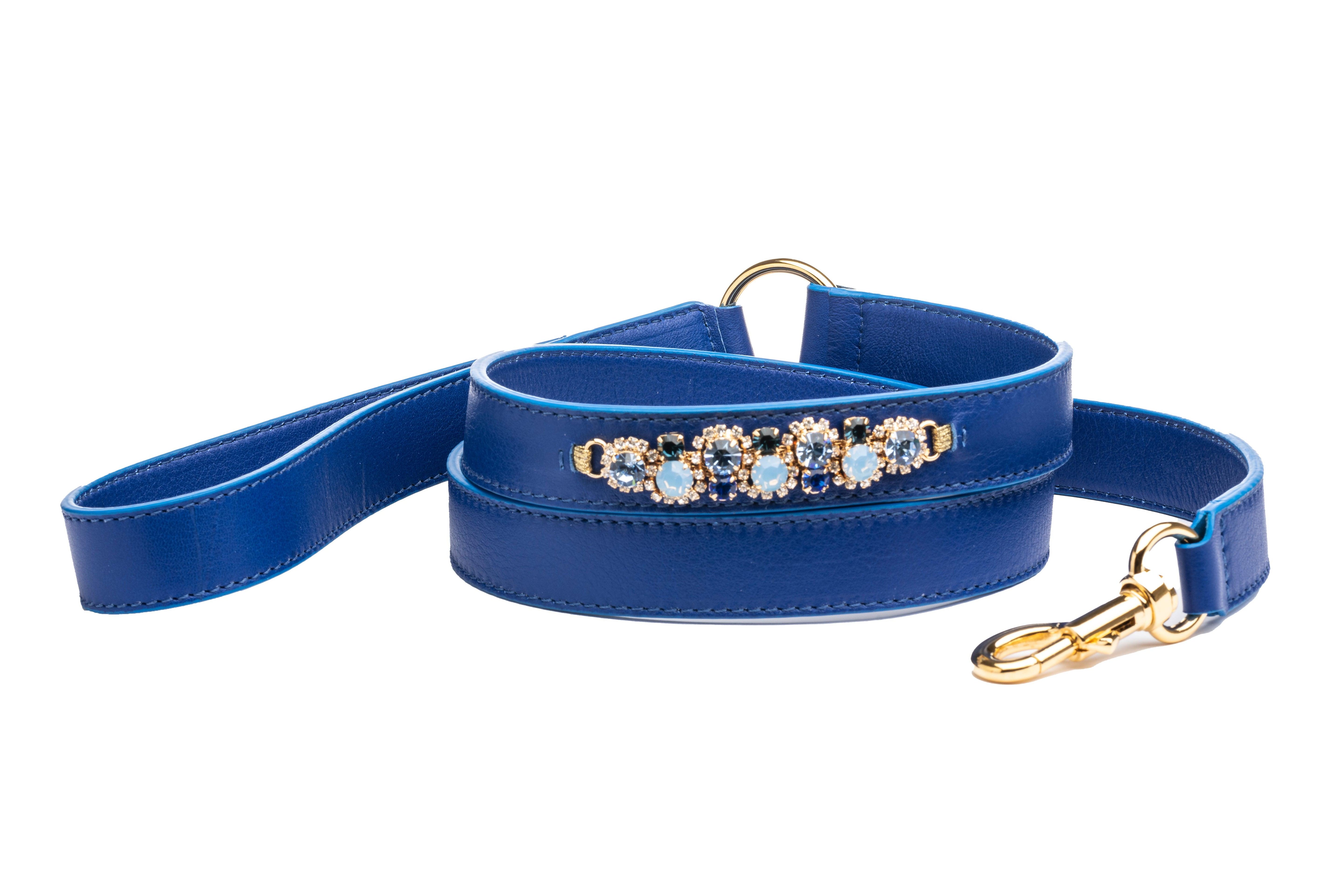 Darsena Blue Leather Dog Leash - capripet
